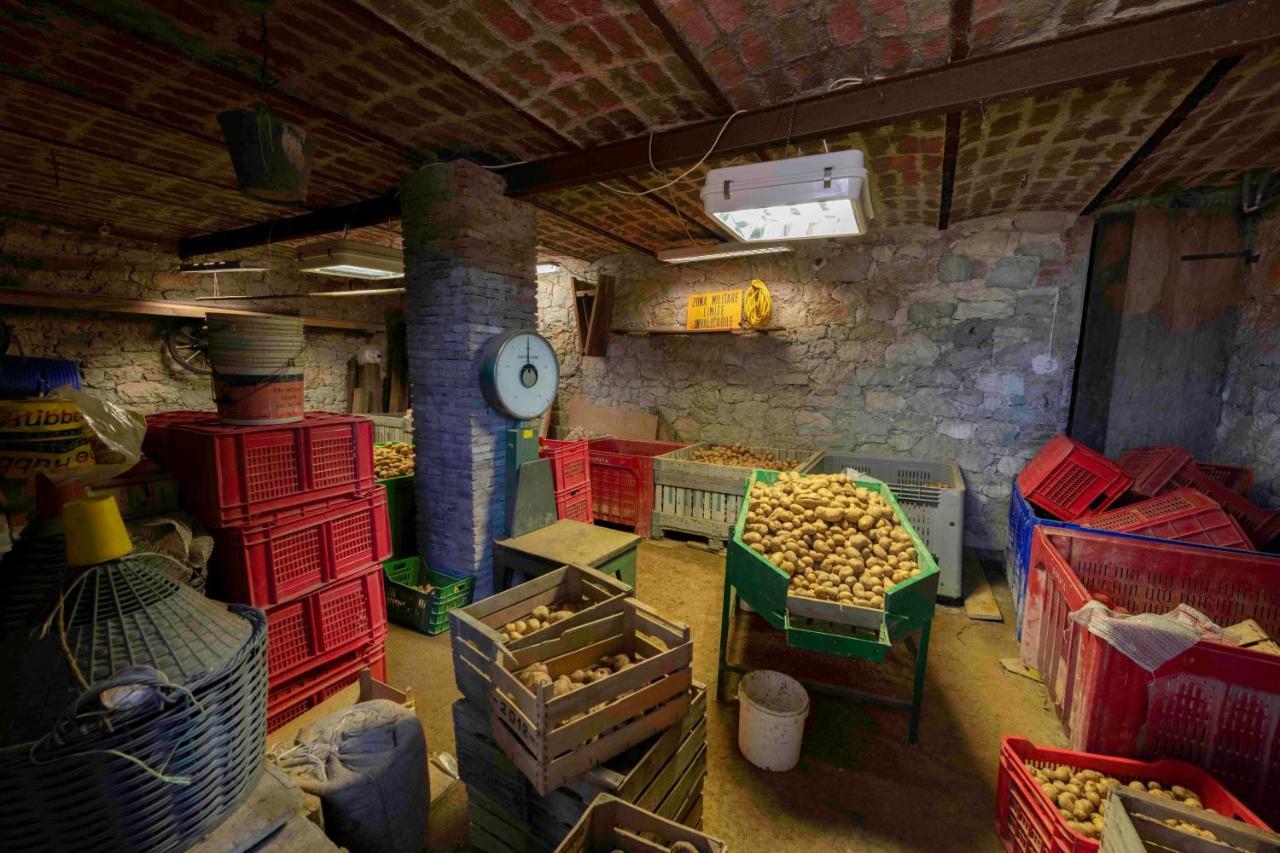 Podere P Ratizzoli II Piano Tole ภายนอก รูปภาพ