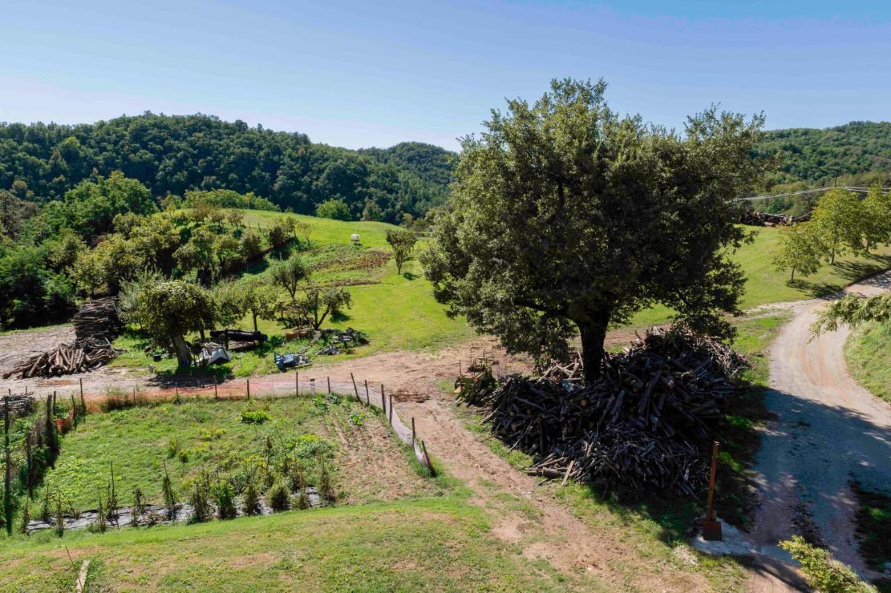 Podere P Ratizzoli II Piano Tole ภายนอก รูปภาพ